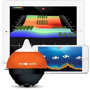 fishhunter directional 3D